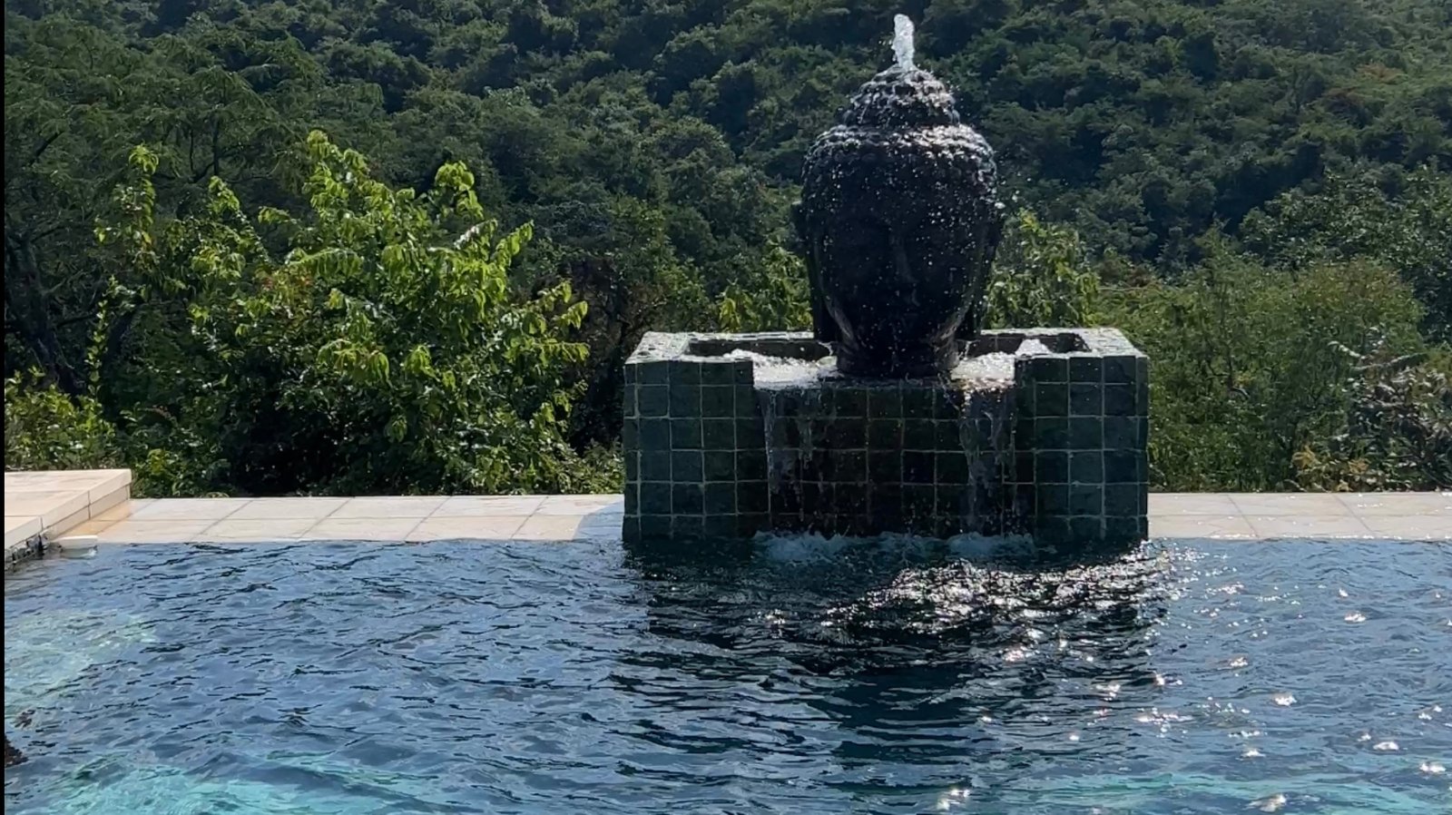 Infinity Pool of Villa at Zarafa Lodge